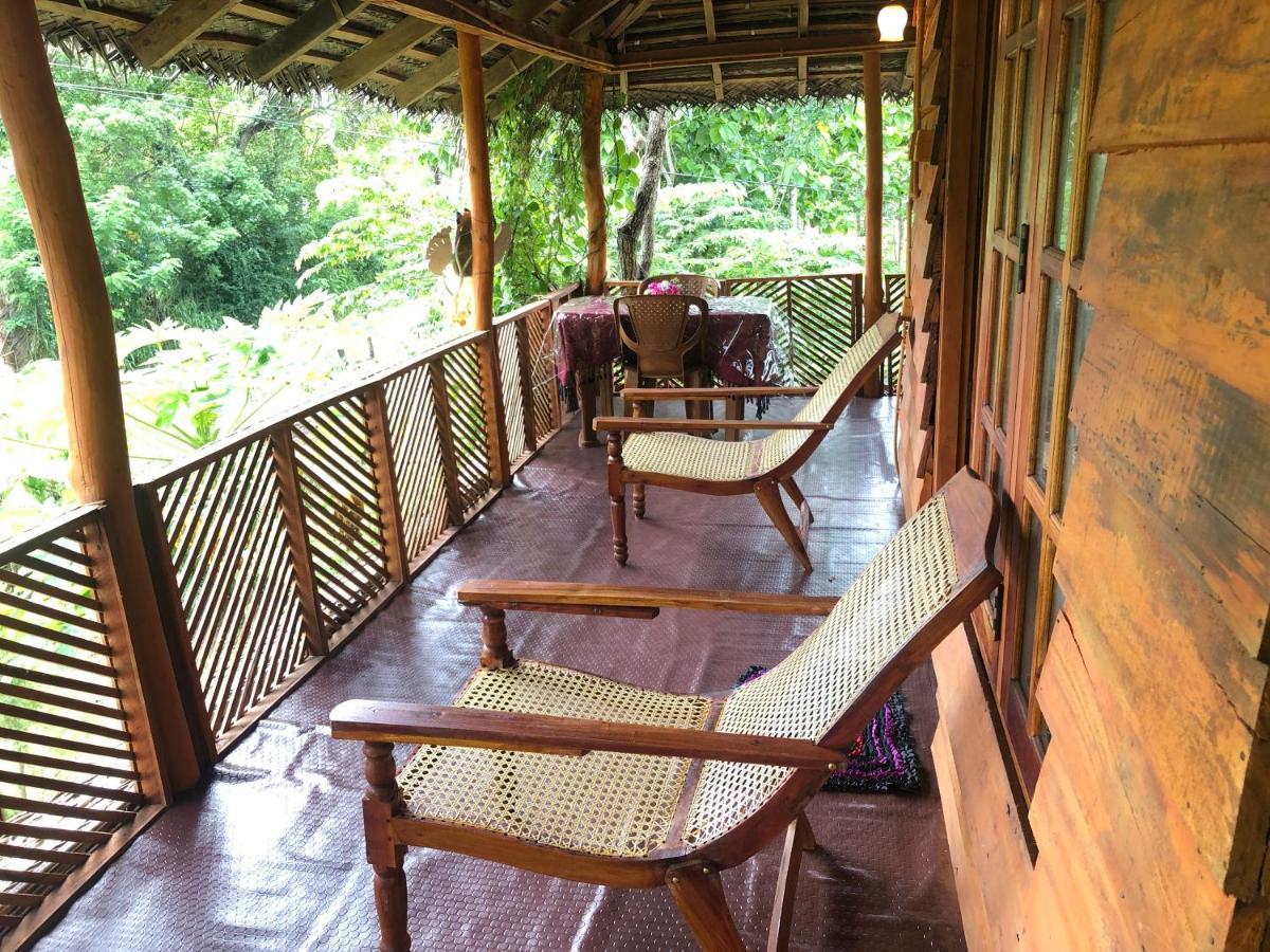 Sigiri Lion Eco Palace Sigiriya Exteriör bild