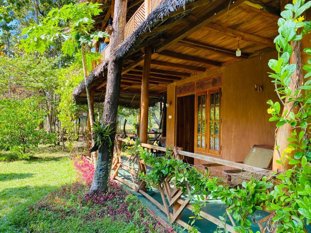 Sigiri Lion Eco Palace Sigiriya Exteriör bild