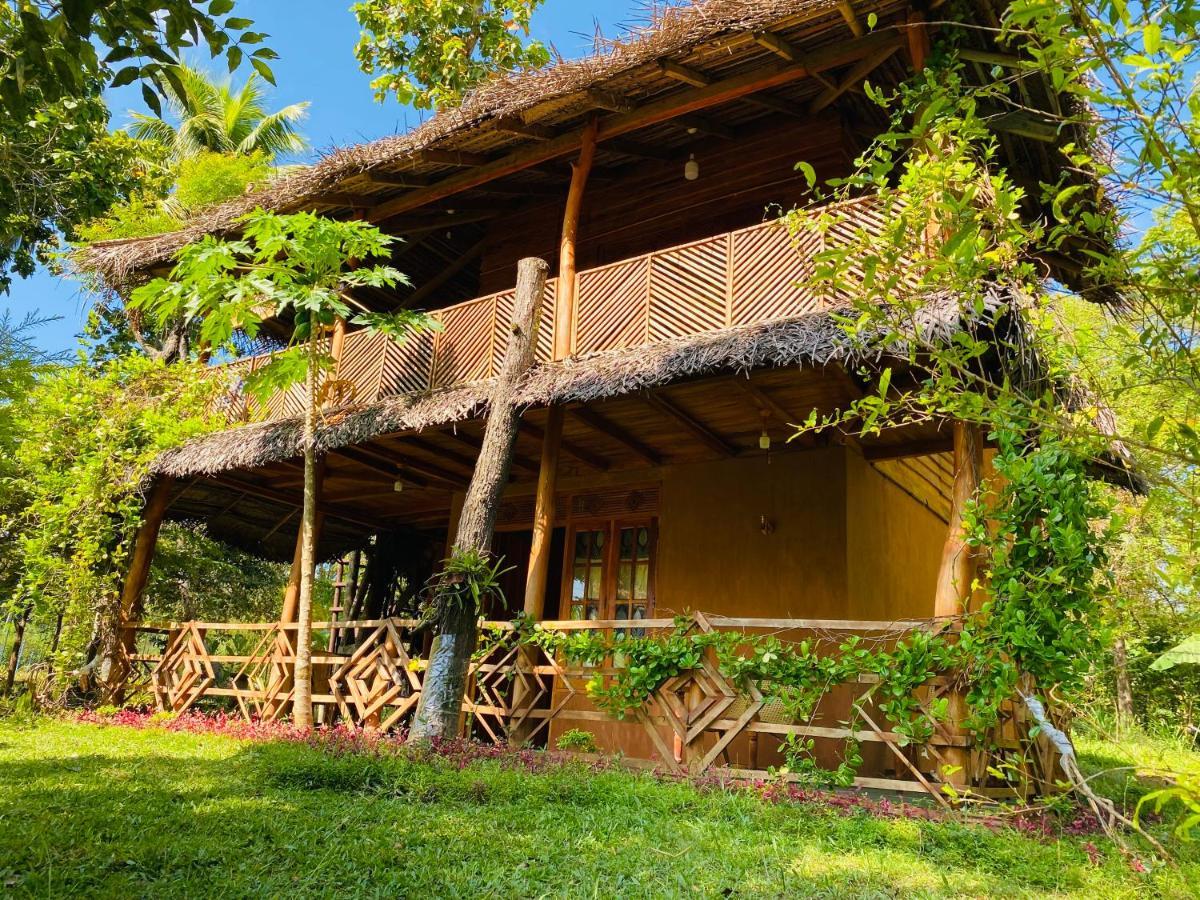 Sigiri Lion Eco Palace Sigiriya Exteriör bild