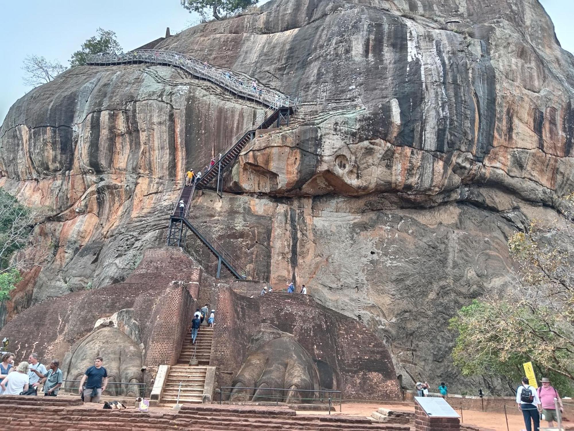Sigiri Lion Eco Palace Sigiriya Exteriör bild