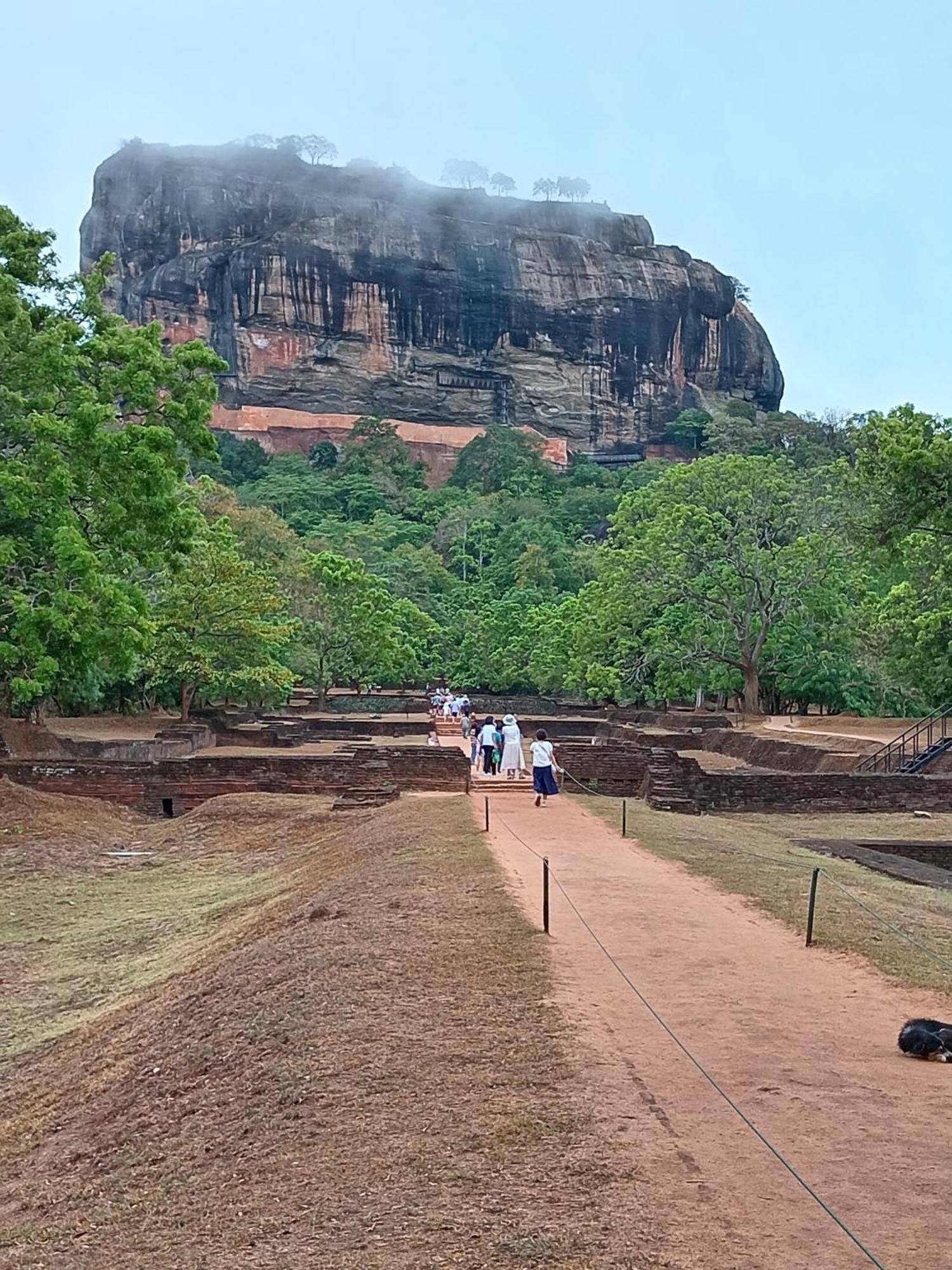 Sigiri Lion Eco Palace Sigiriya Exteriör bild